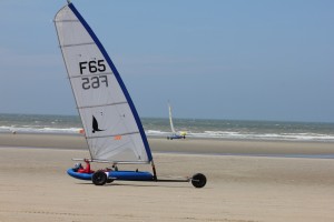 IMG_7982